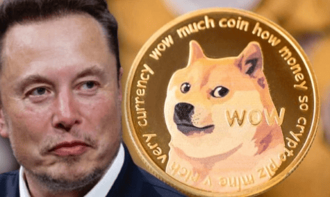 DOGE10年暴涨3万倍！狗狗币玩家赢麻了？