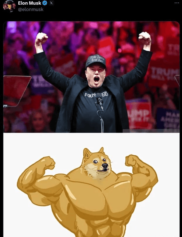 狗狗币突破 3 年通道，2025年DOGE有望上涨 500%