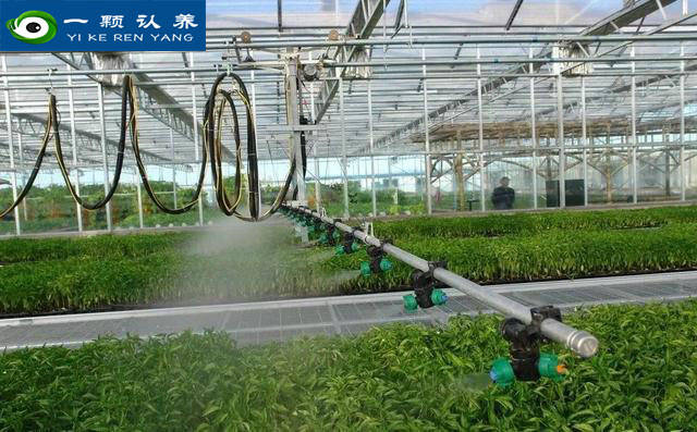 一颗认养——你知道农业物联网有哪些应用吗？