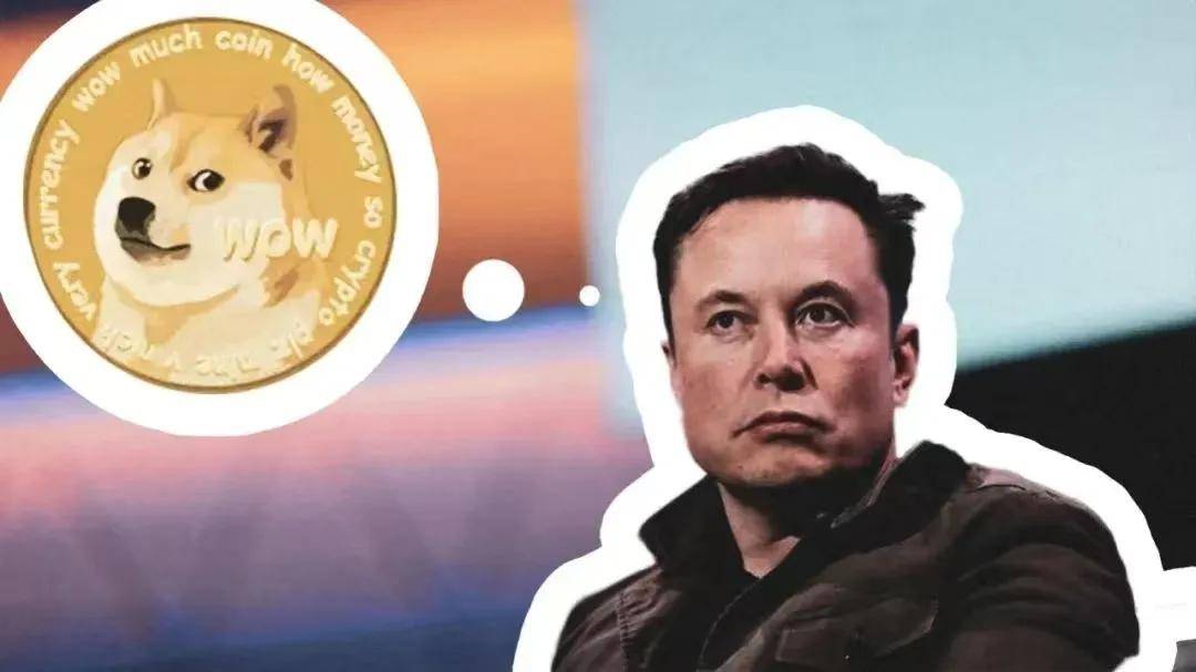 马斯克“复职”，概念币DOGE and Banana to the moon？