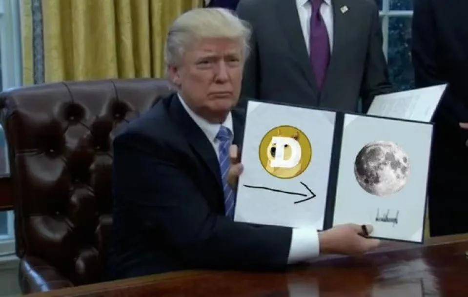 马斯克“复职”，概念币DOGE and Banana to the moon？