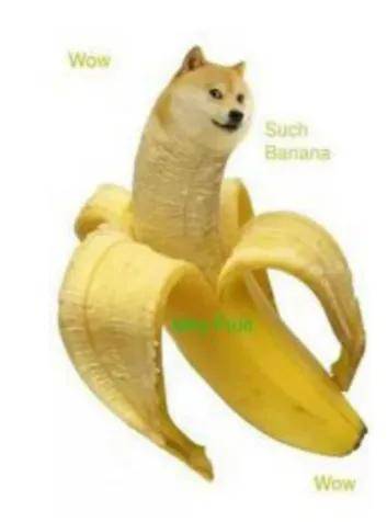 马斯克“复职”，概念币DOGE and Banana to the moon？
