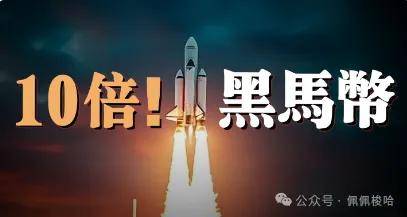 错过了Doge、Pepe？干进去，这个币也要涨10倍！Doge会在这一天爆拉上天！Neiro潜力如何，值得埋伏吗？比特币上天了！