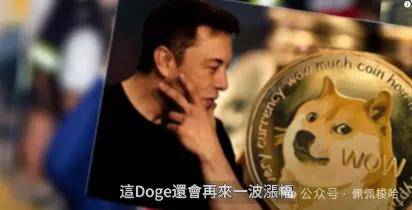 错过了Doge、Pepe？干进去，这个币也要涨10倍！Doge会在这一天爆拉上天！Neiro潜力如何，值得埋伏吗？比特币上天了！