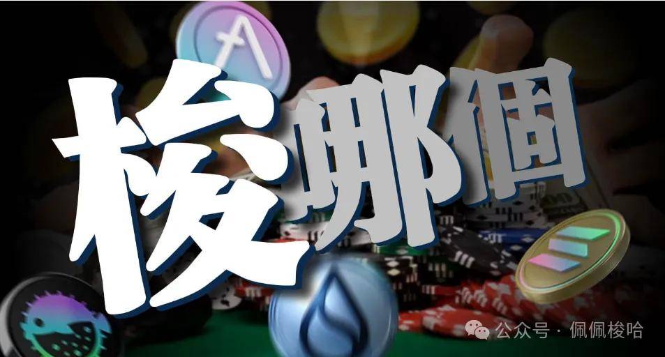 哪个币才是真正的黑马？Sol还好吗？谈谈Sui的数据，Puffer还能买？AAVE和Doge有何机遇？聊聊以太坊走势！