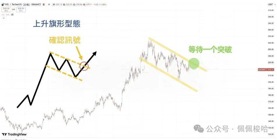 哪个币才是真正的黑马？Sol还好吗？谈谈Sui的数据，Puffer还能买？AAVE和Doge有何机遇？聊聊以太坊走势！