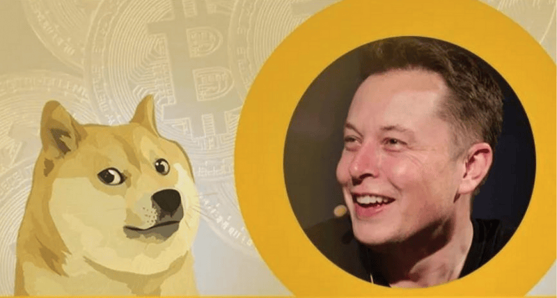 狗狗币DOGE：第三次大爆发要来了？2025年能突破1美元吗？