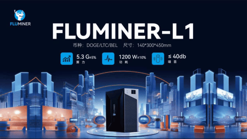 福鹿(FLUMINER-L1) 5纳米狗狗币（Doge）区块链服务器全球开发者见面会