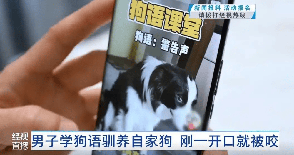 男子刷视频学“狗语”与狗对话，一开口脸竟被咬穿