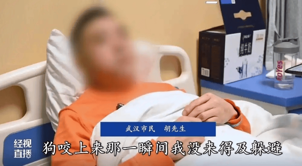 男子刷视频学“狗语”与狗对话，一开口脸竟被咬穿