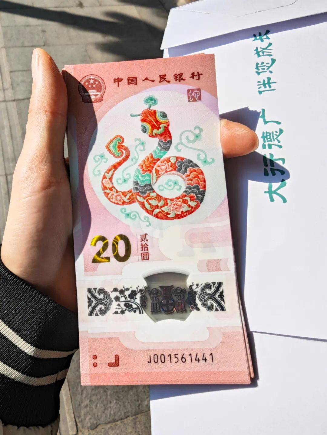 龙钞跟着蛇钞蛇币一起下跌，将来还能反弹吗？
