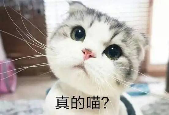 护发精油用了有用吗？护发精油怎么买的？希思黎怎么样？