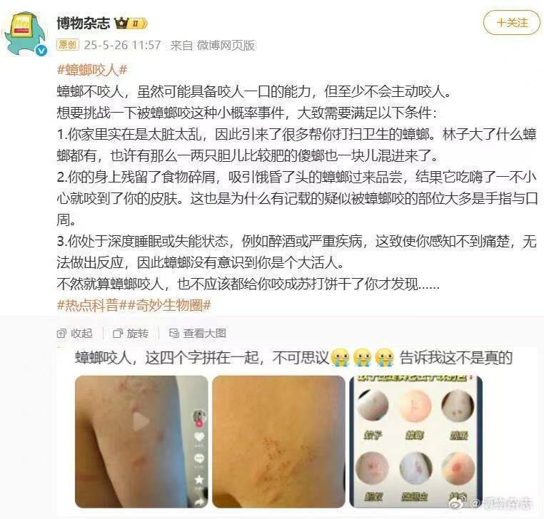 蟑螂也会咬人？网友纷纷评论被蟑螂咬过！