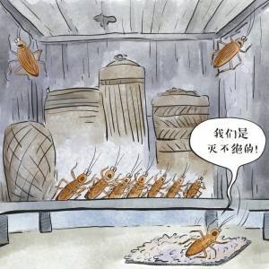 蟑螂为什么难以彻底清除？