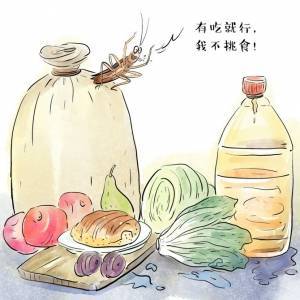 蟑螂为什么难以彻底清除？