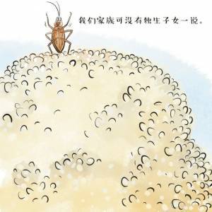 蟑螂为什么难以彻底清除？