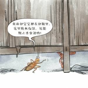 蟑螂为什么难以彻底清除？