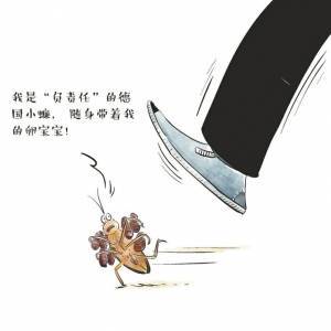 蟑螂为什么难以彻底清除？