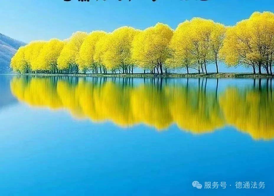高州市判决首例虚拟币盗窃案 行业专家与律师细解证据存疑