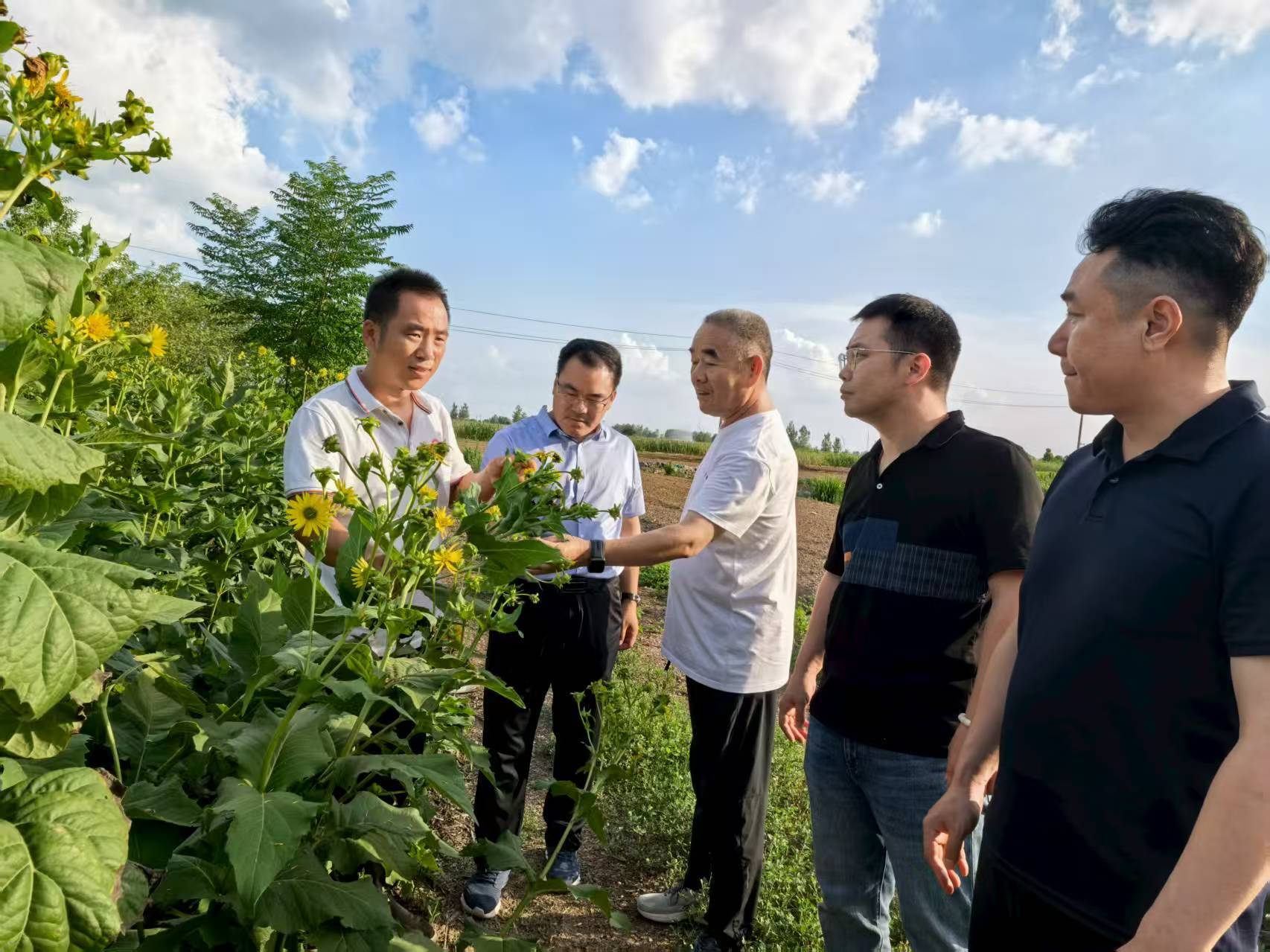 讲好同心故事，九三学社企业家群到漯河交流