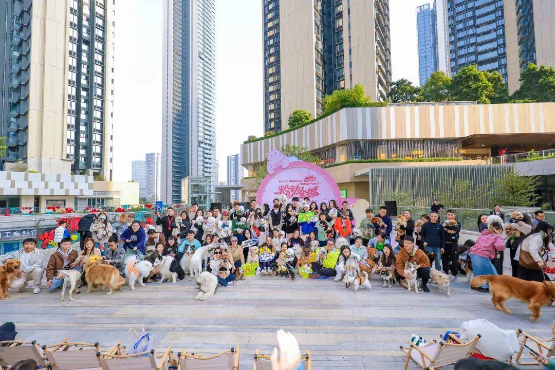 欢迎加入『阿猫阿狗』400+深圳宠物群，打造深圳最全面最专业的宠物交流互动群
