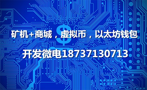 虚拟币怎样开发(虚拟币开发需要多少钱)