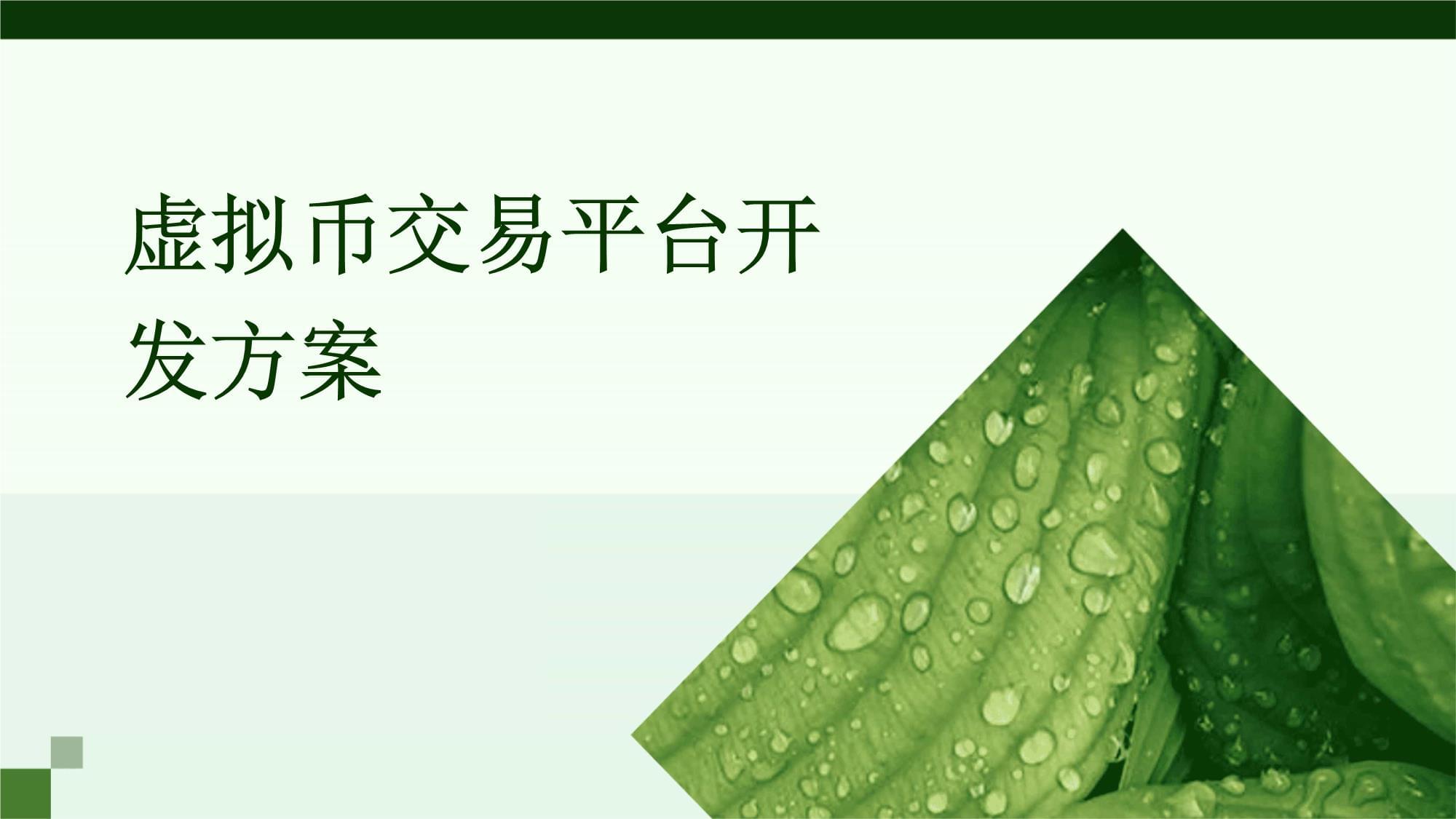 虚拟币怎么开发(开发虚拟币怎么赚钱)