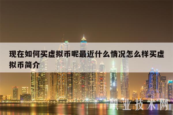 新手虚拟币(虚拟币怎样玩赚钱)