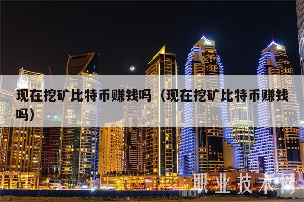 开发虚拟币挖矿(虚拟币挖矿赚钱吗)